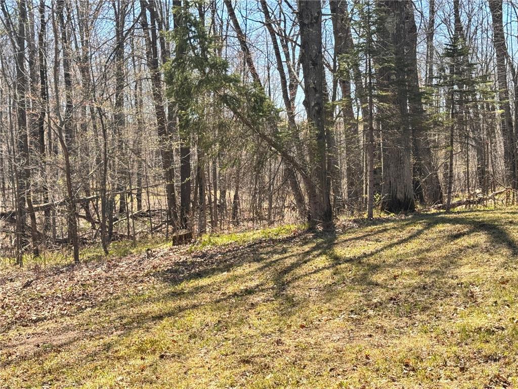 45527/45609 Fox Road Hinckley Twp MN 55037 7068212 image13