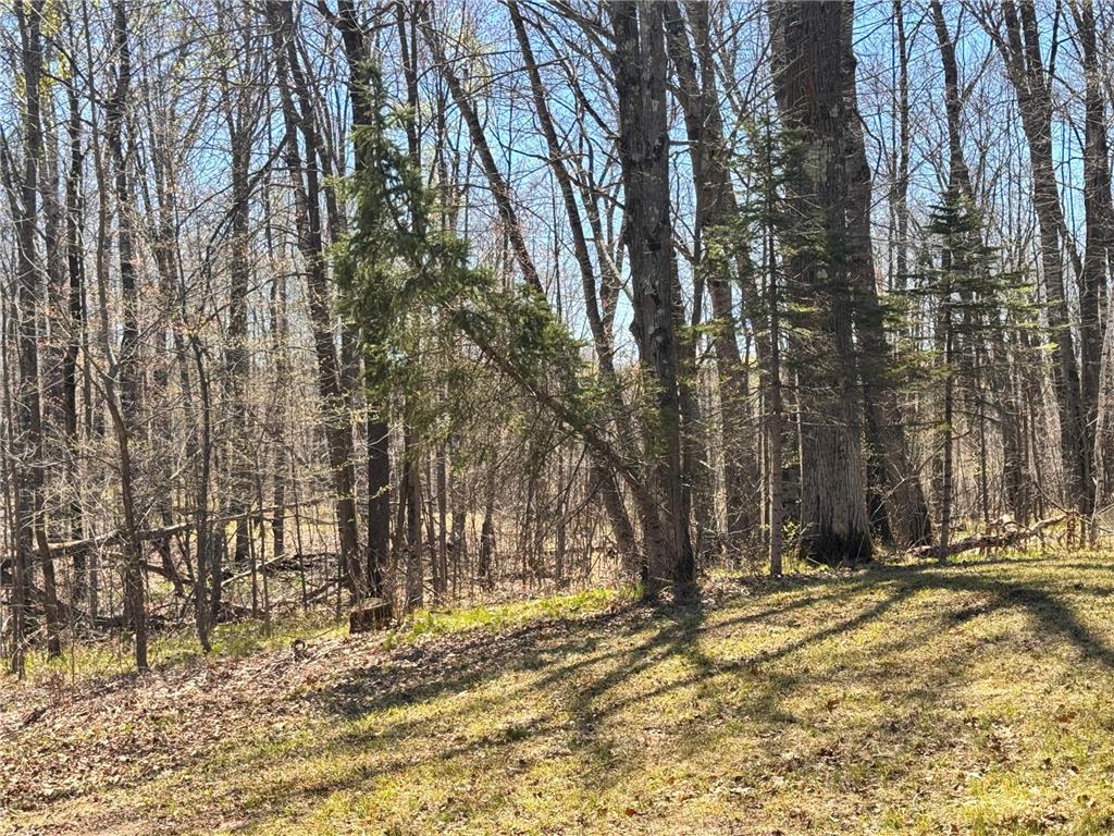 45527/45609 Fox Road Hinckley Twp MN 55037 7068212 image14