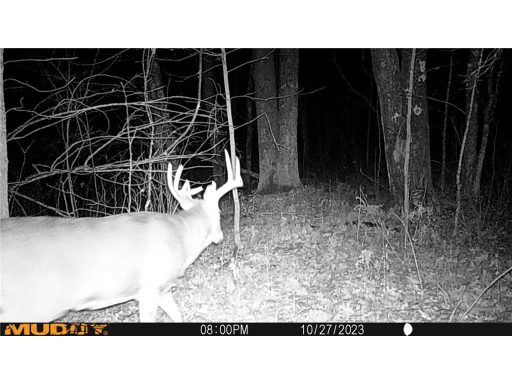 45527/45609 Fox Road Hinckley Twp MN 55037 7068212 image19