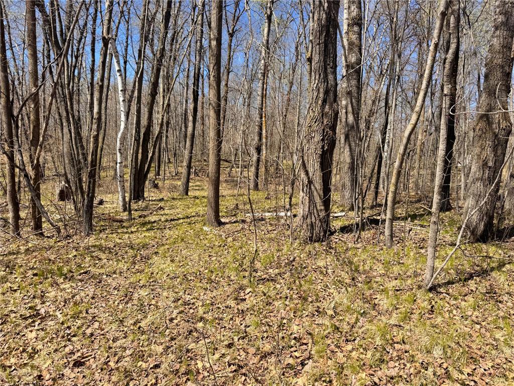 45527/45609 Fox Road Hinckley Twp MN 55037 7068212 image5