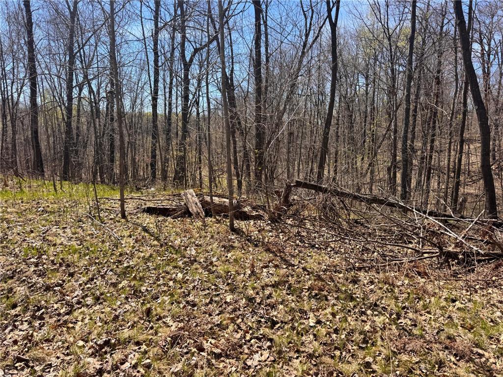 45527/45609 Fox Road Hinckley Twp MN 55037 7068212 image6