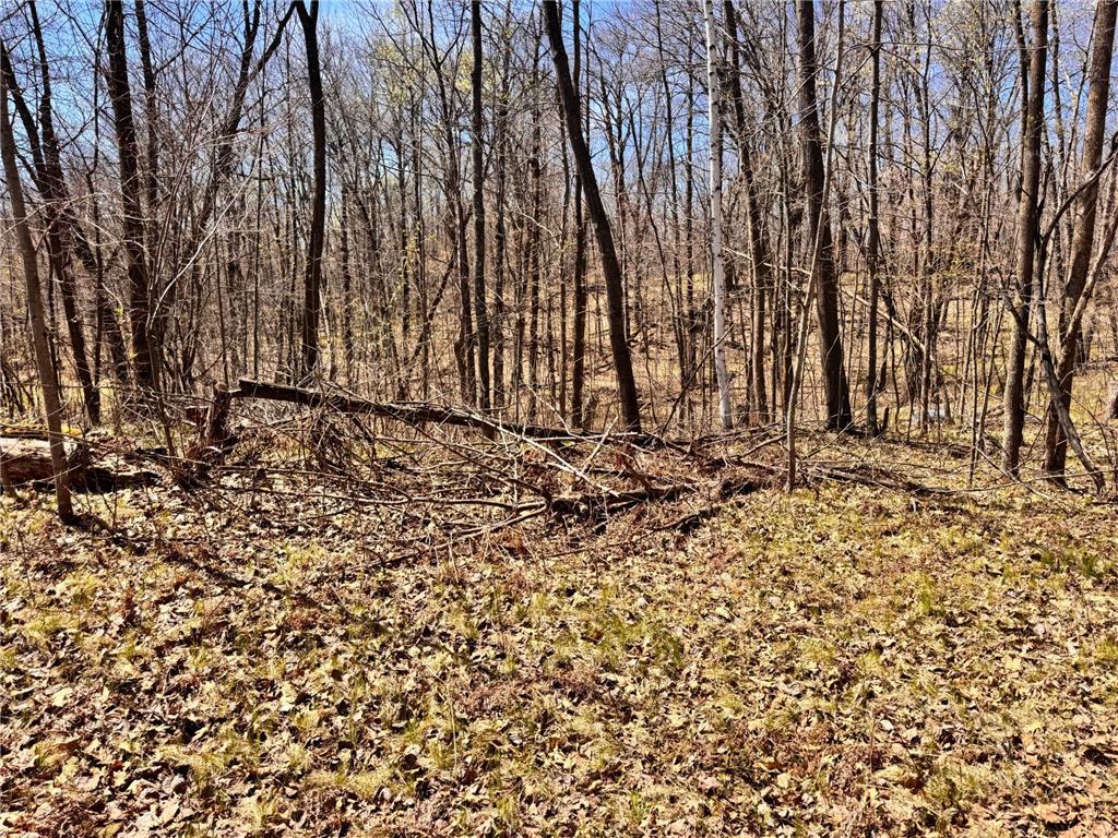 45527/45609 Fox Road Hinckley Twp MN 55037 7068212 image7