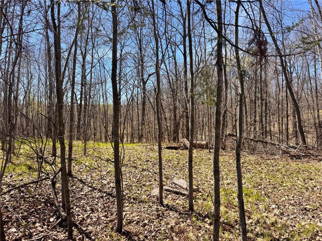 45527/45609 Fox Road Hinckley Twp MN 55037 7068212 image8