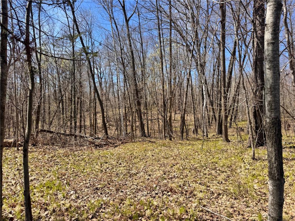 45527/45609 Fox Road Hinckley Twp MN 55037 7068212 image9