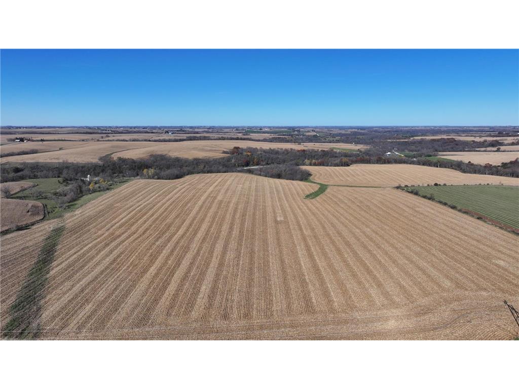 45534 County 29 Newburg Twp MN 55954 - Rice Creek 6816762 image1