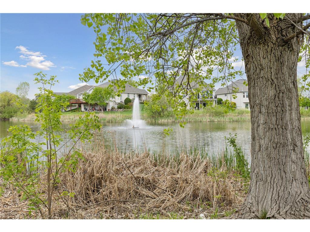 4555 Jewel Lane N Plymouth MN 55446 6722522 image17