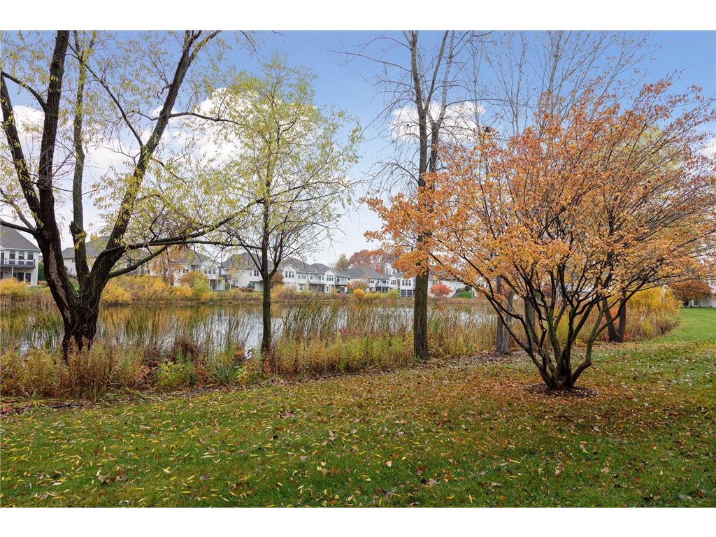 4555 Jewel Lane N Plymouth MN 55446 6722522 image54