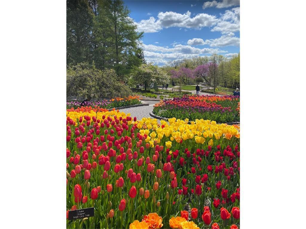 4558 Percheron Boulevard Chaska MN 55318 6815644 image37