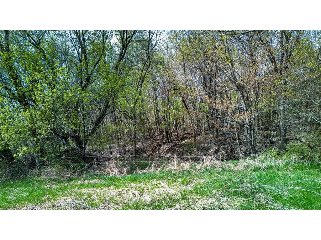 45620 Grand Avenue Harris MN 55032 7069152 image22