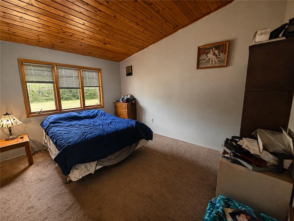 45624 County Road 172 Morse Twp MN 56636 7086950 image17