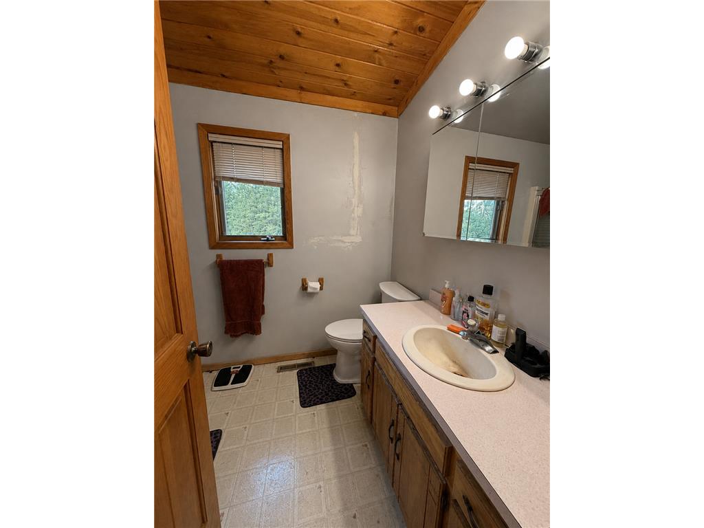 45624 County Road 172 Morse Twp MN 56636 7086950 image20