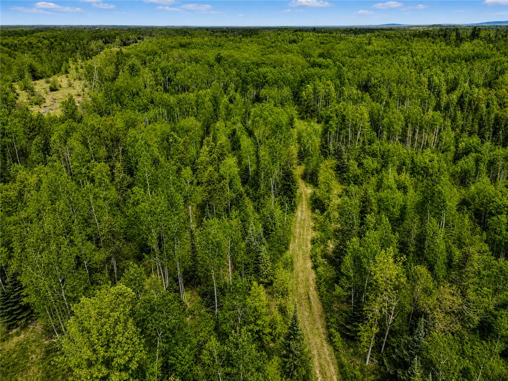 45624 County Road 172 Morse Twp MN 56636 7086950 image8