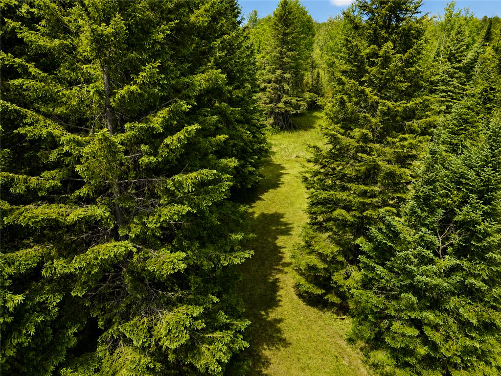 45624 County Road 172 Morse Twp MN 56636 7086950 image9