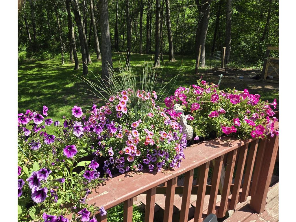 4570 Pine Point Drive NW Turtle Lake Twp MN 56484 6818783 image9