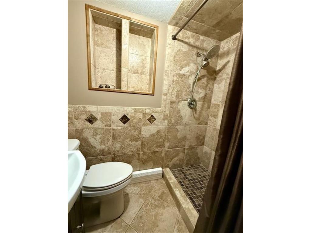 45722 County Road 15 Great Bend Twp MN 56101 6822340 image28