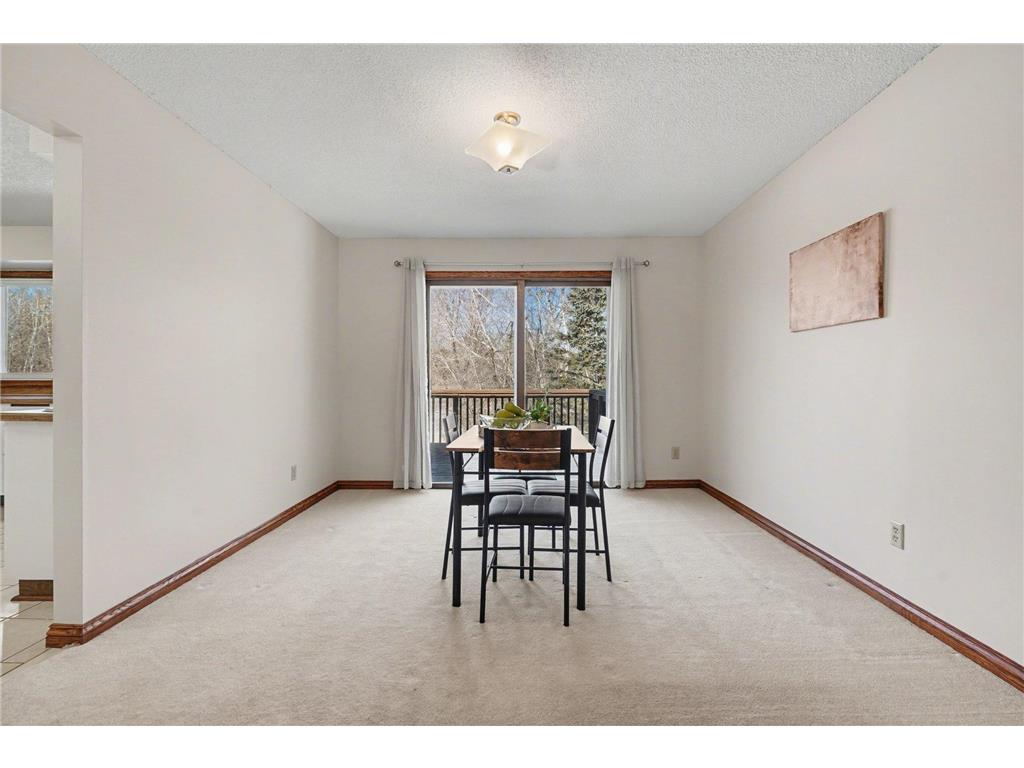 4576 Echo Lane Lent Twp MN 55079 7043995 image10