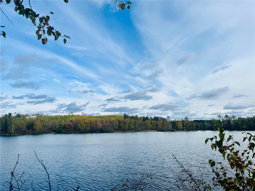 45768 Spider Lake Road, Marcell, MN, 56657 MLS 6445478 Edina Realty