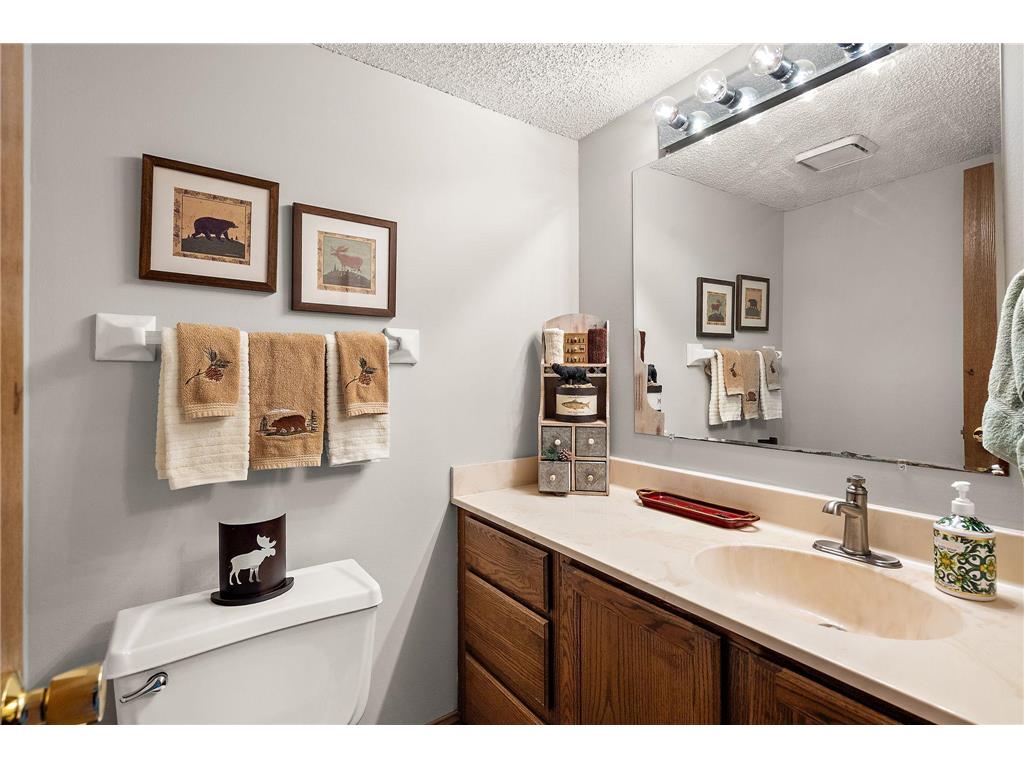 4589 Saddlewood Drive Minnetonka MN 55345 7051995 image50