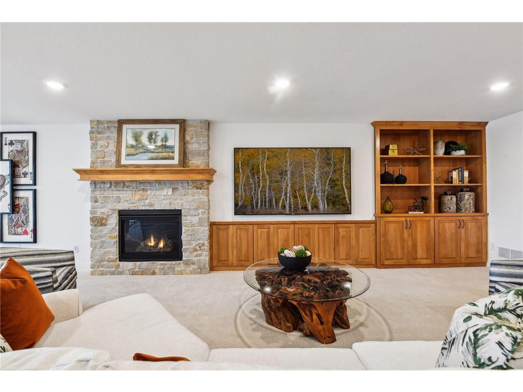 4594 Tovero Trail Medina MN 55340 6716669 image35