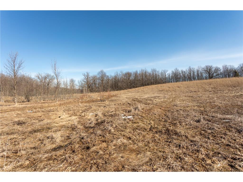 4595 Cotton Tail Lane NW Ida Twp MN 56308 7038932 image38