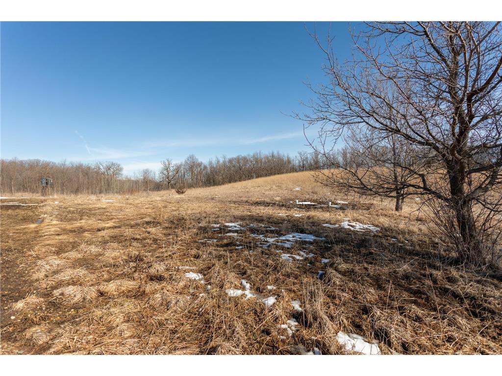 4595 Cotton Tail Lane NW Ida Twp MN 56308 7038932 image39