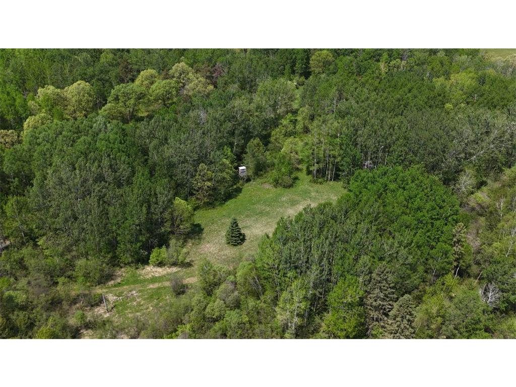 45964 County Highway 36 Frazee MN 56544 7085021 image44