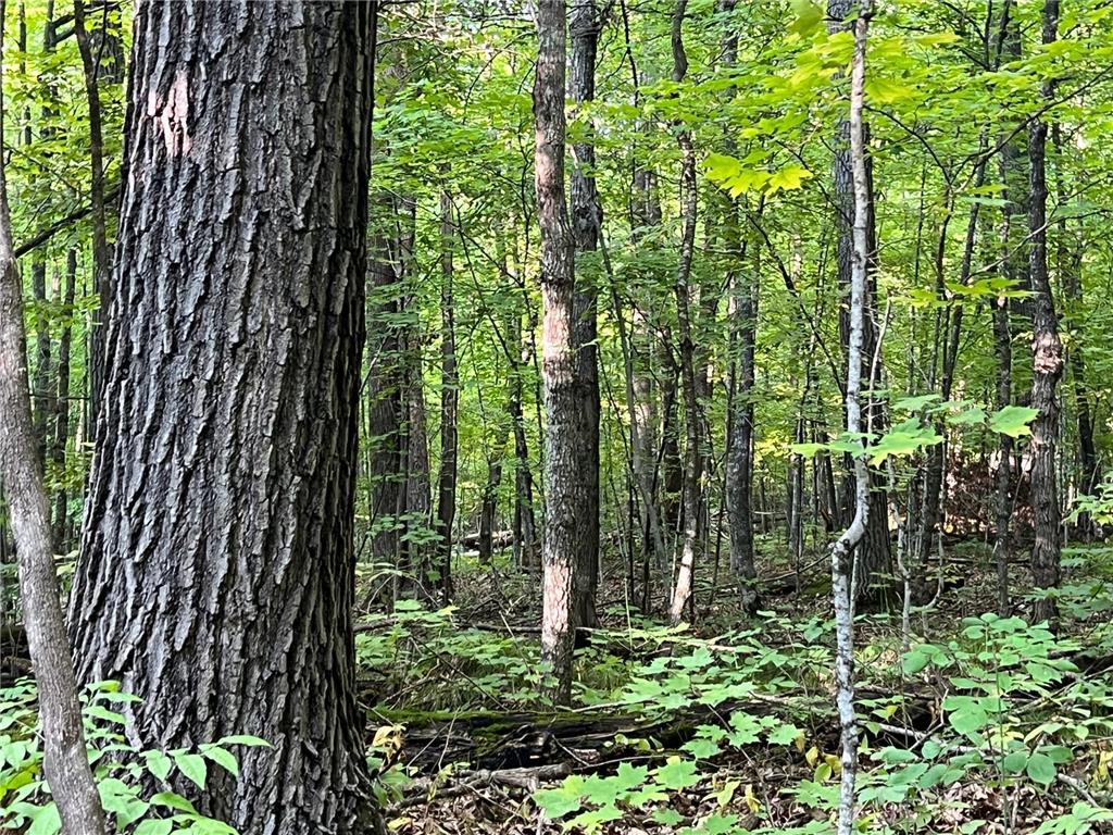 45XXX 289th Ln Aitkin MN 56431 6785631 image1