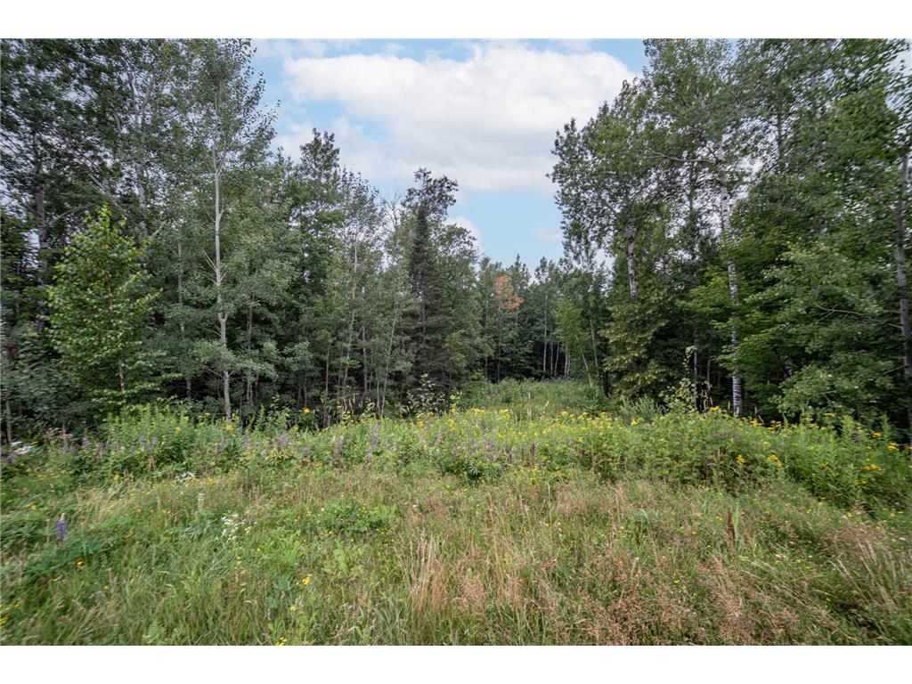45xx - Lot B1 Norway Pines Pl Hermantown MN 55811 6658223 image8