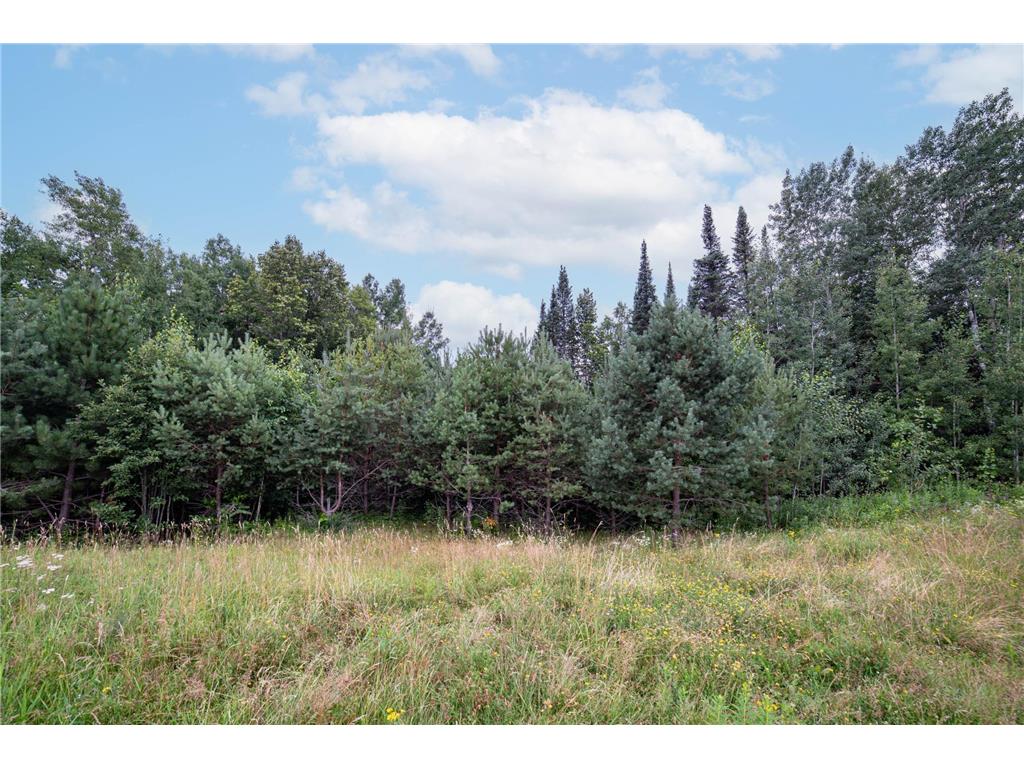 45xx - Lot B1 Norway Pines Pl Hermantown MN 55811 6658223 image9