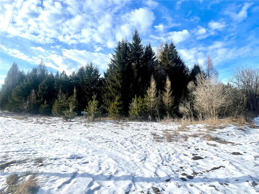 46.67 acres 630th Street Colfax WI 54730 7025319 image1