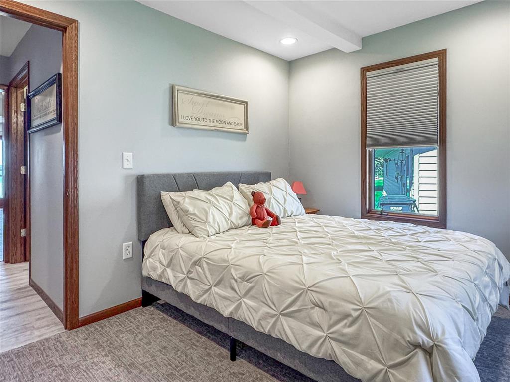46 N Shore Drive Lake Sarah Twp MN 56132 - Sarah 7059395 image22