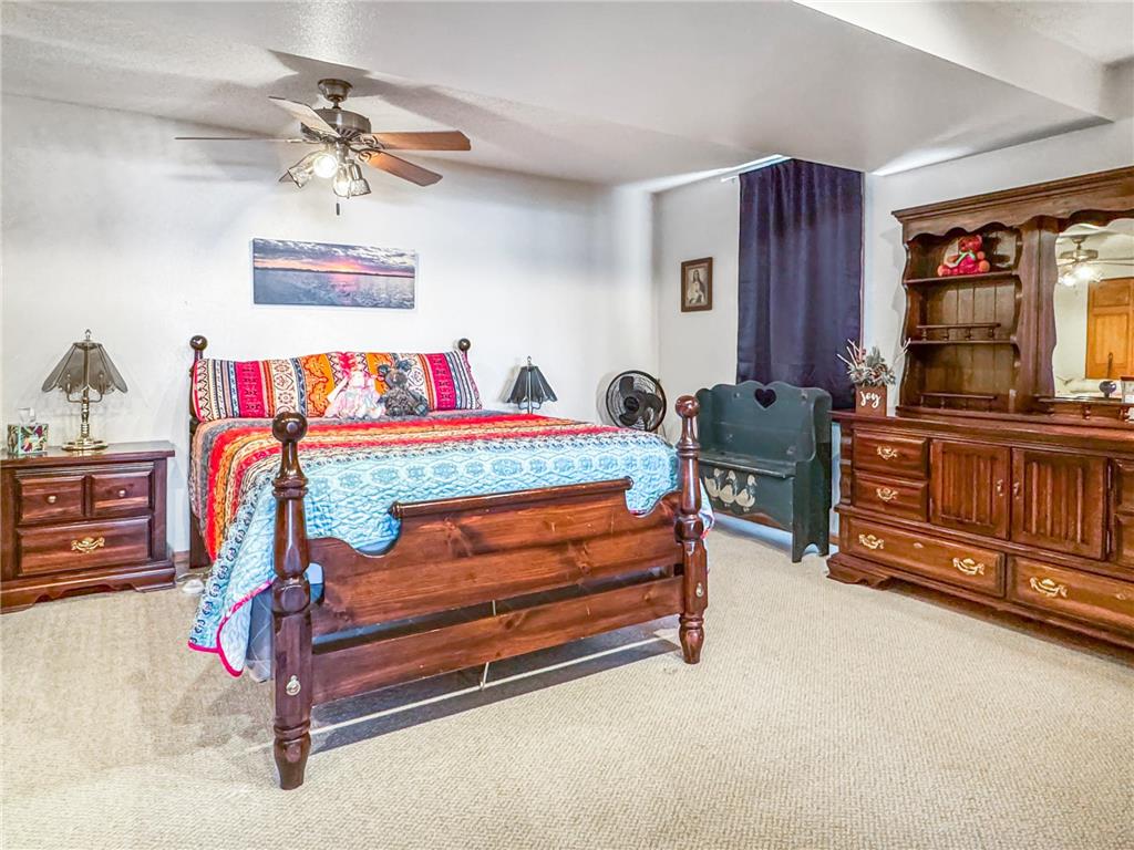 46 N Shore Drive Lake Sarah Twp MN 56132 - Sarah 7059395 image29