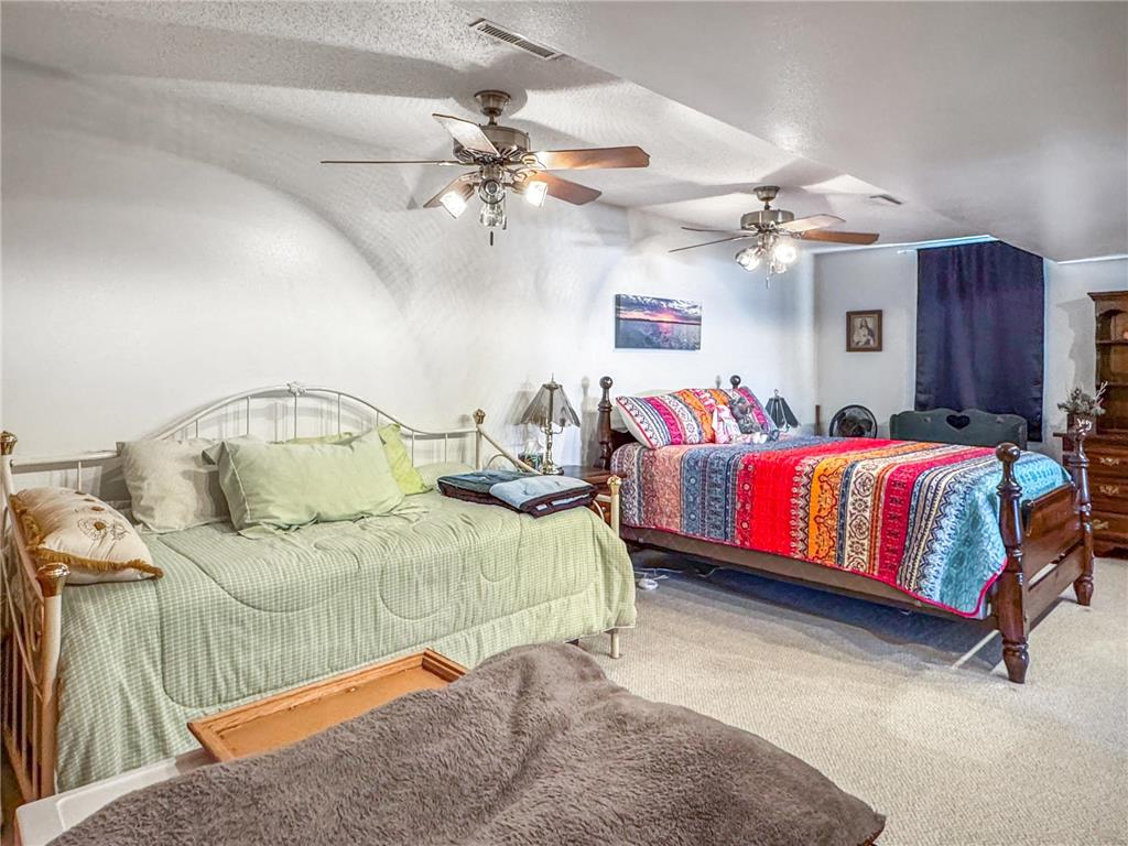 46 N Shore Drive Lake Sarah Twp MN 56132 - Sarah 7059395 image30