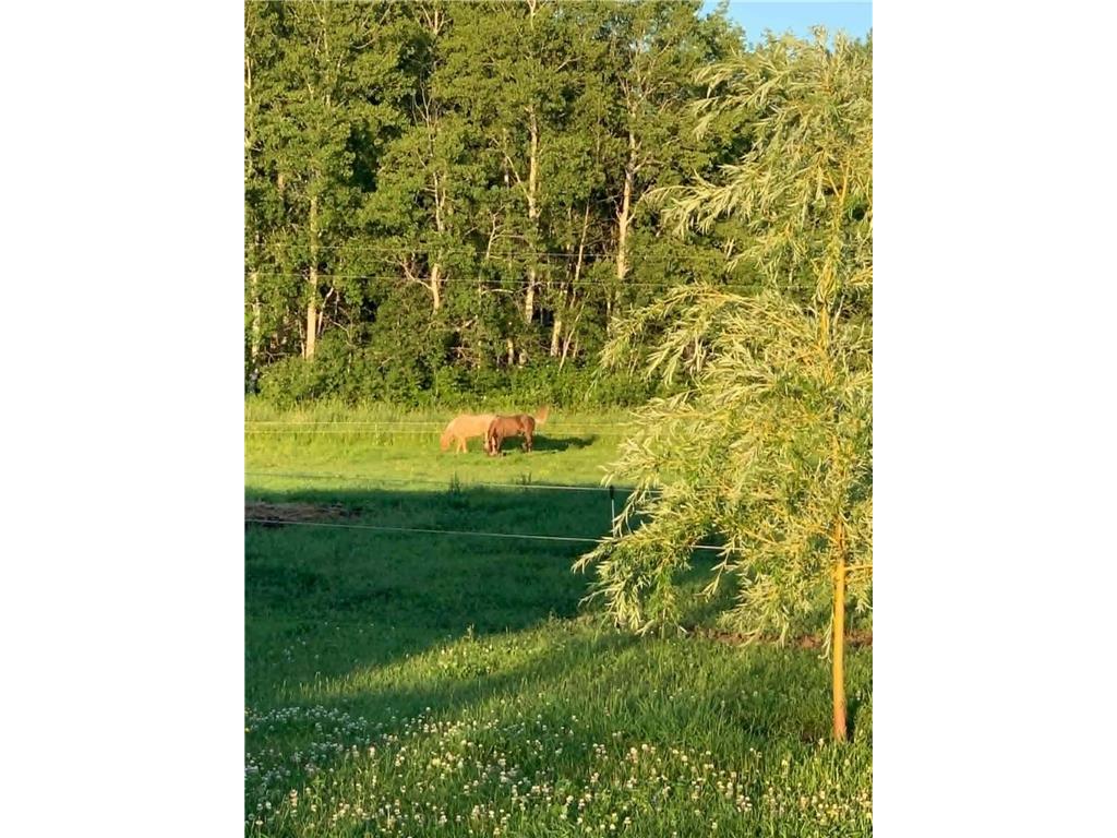 46011 100th Avenue Tamarack MN 55787 7077837 image23