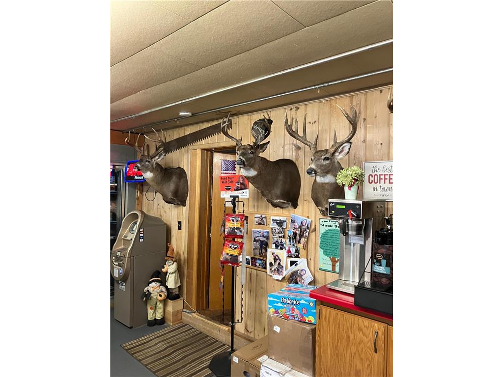 46023 State Highway 6 Deer River MN 56636 6689881 image15