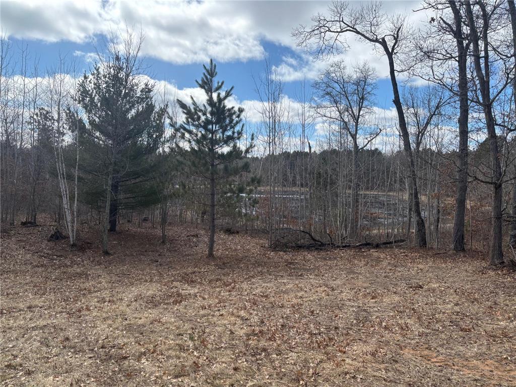 4603 Setting Sun Trail Way Jackson Twp WI 54830 6815796 image15