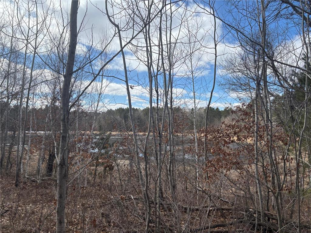 4603 Setting Sun Trail Way Jackson Twp WI 54830 6815796 image16