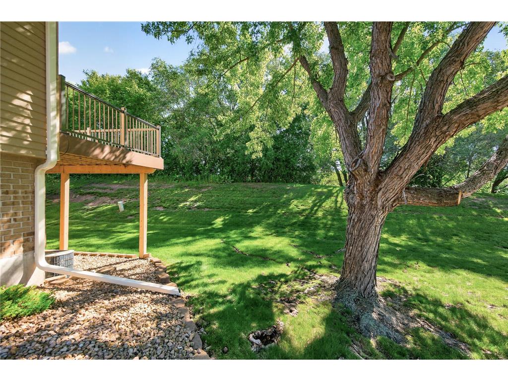 4604 Rosewood Lane N Plymouth MN 55442 7036115 image32