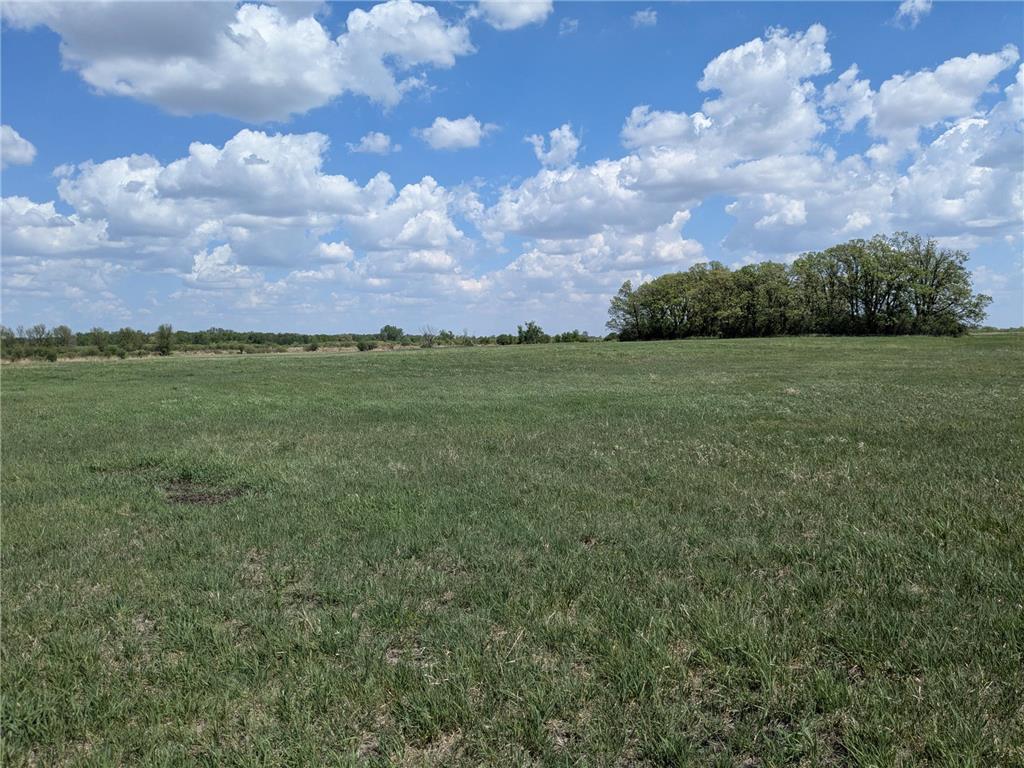 46068 Glendale Road Crow Lake Twp MN 56316 - Skunk River 6721435 image1