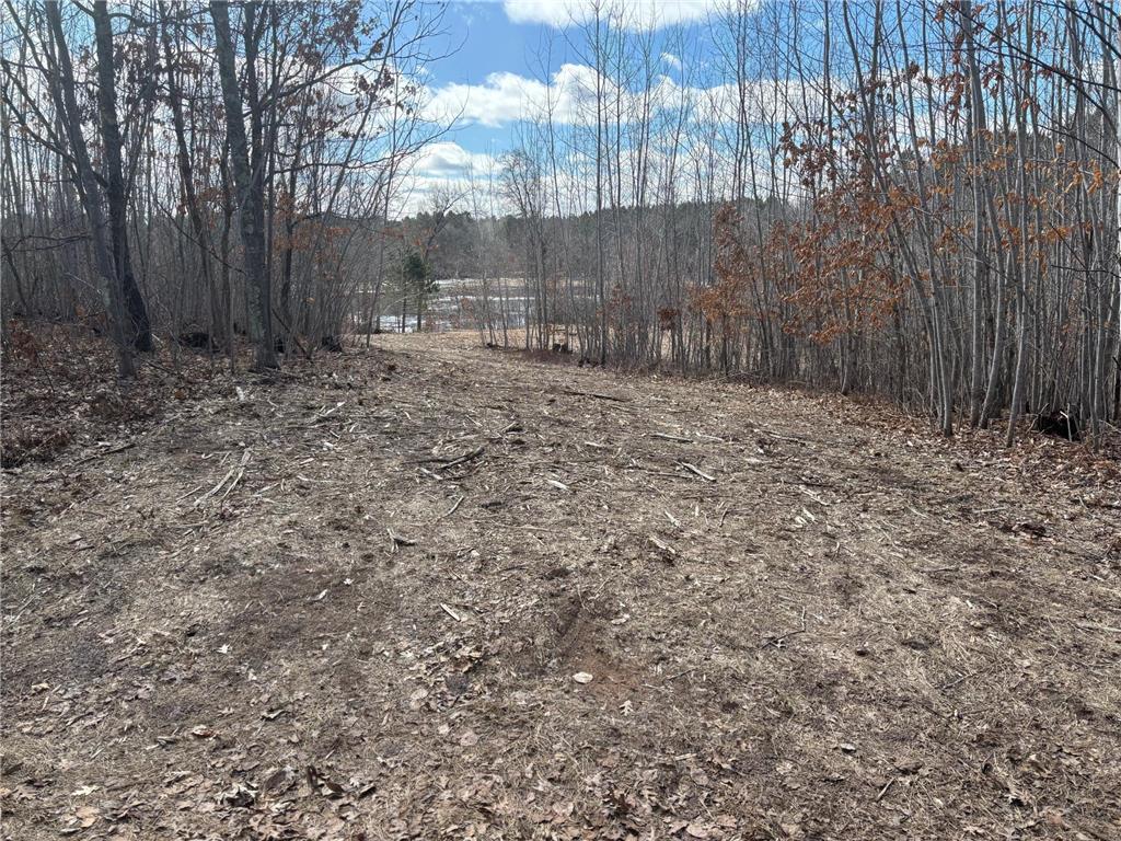 4607 Setting Sun Trail Way Jackson Twp WI 54830 6816487 image13