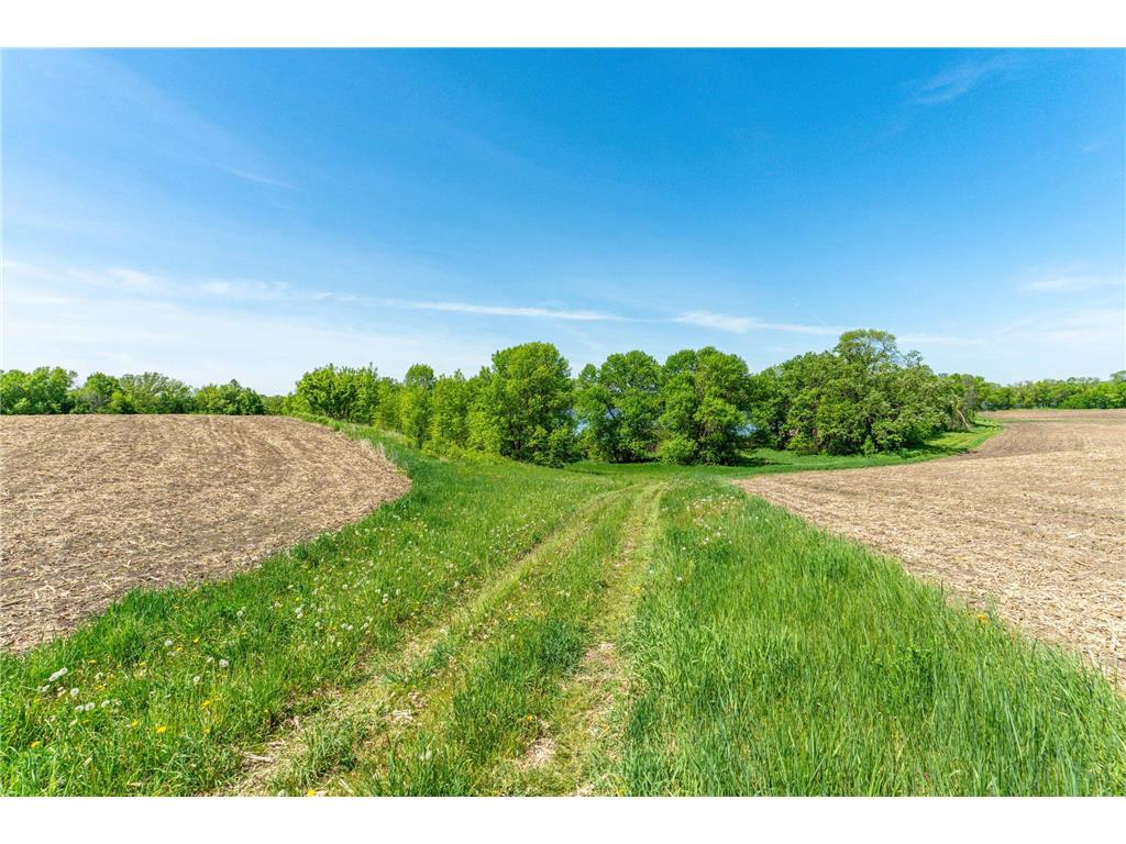 460th Ave Brandon MN 56315 - George Lake 7082429 image10