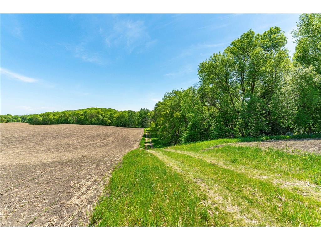 460th Ave Brandon MN 56315 - George Lake 7082429 image11