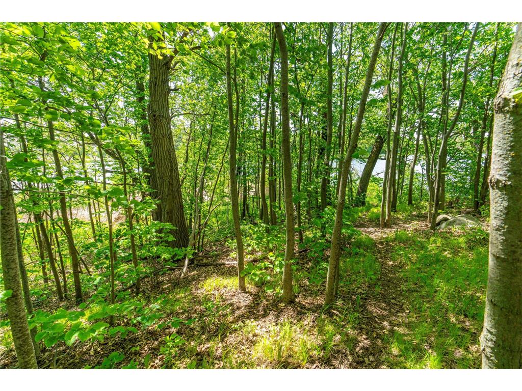 460th Ave Brandon MN 56315 - George Lake 7082429 image18