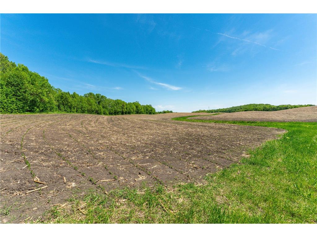 460th Ave Brandon MN 56315 - George Lake 7082429 image22