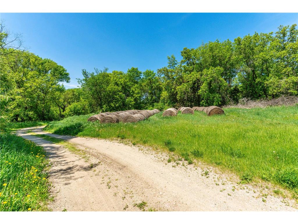 460th Ave Brandon MN 56315 - George Lake 7082429 image28