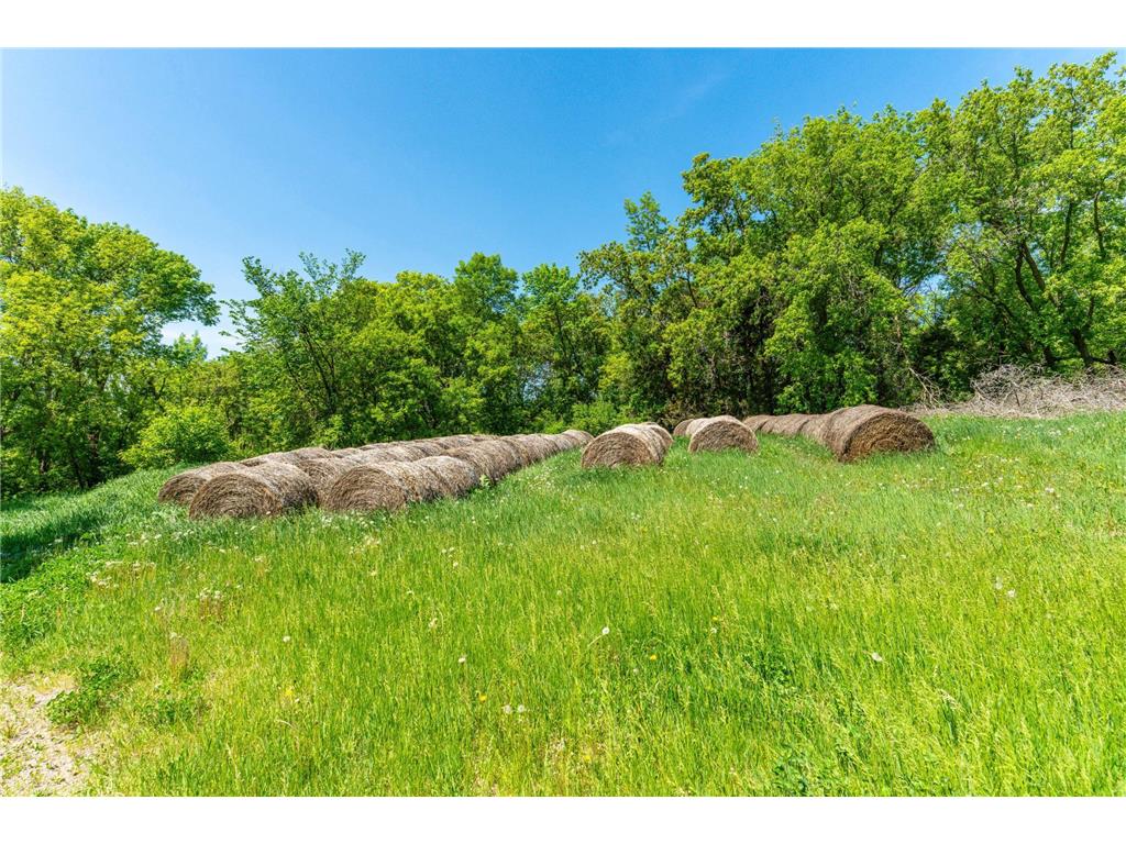 460th Ave Brandon MN 56315 - George Lake 7082429 image29
