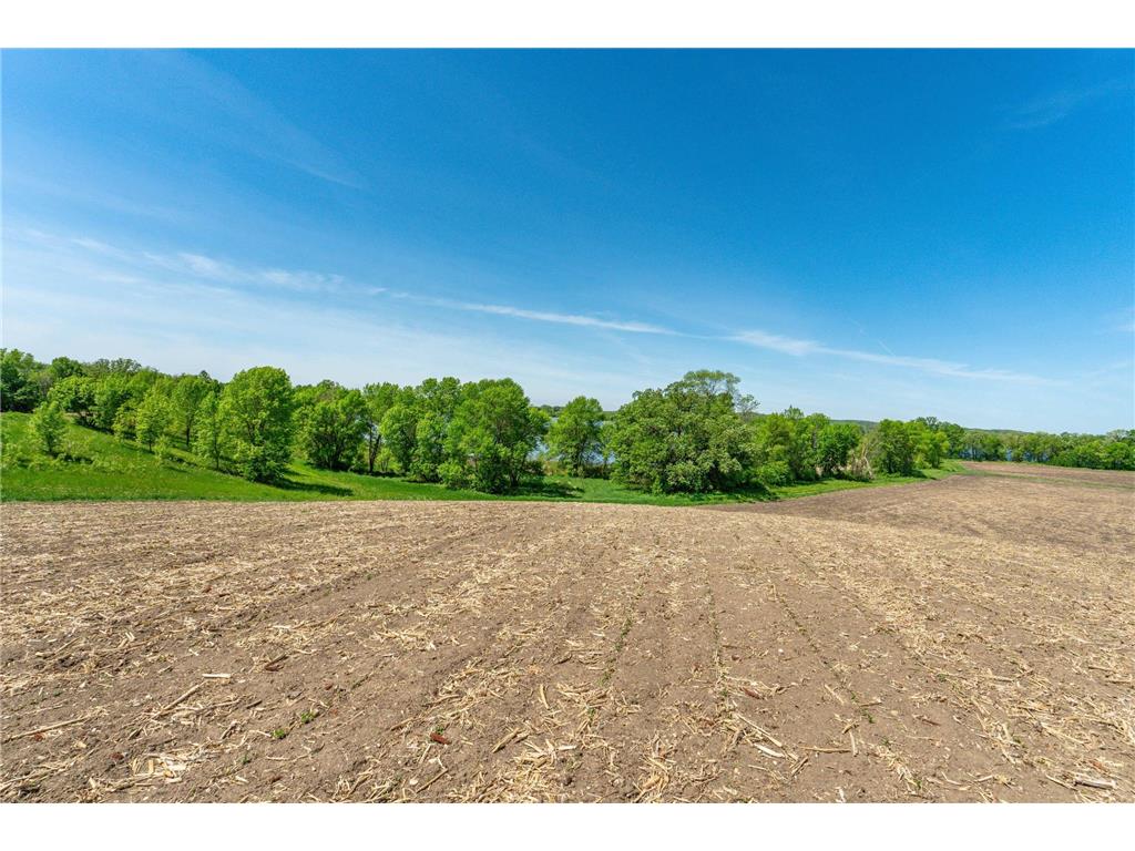 460th Ave Brandon MN 56315 - George Lake 7082429 image8