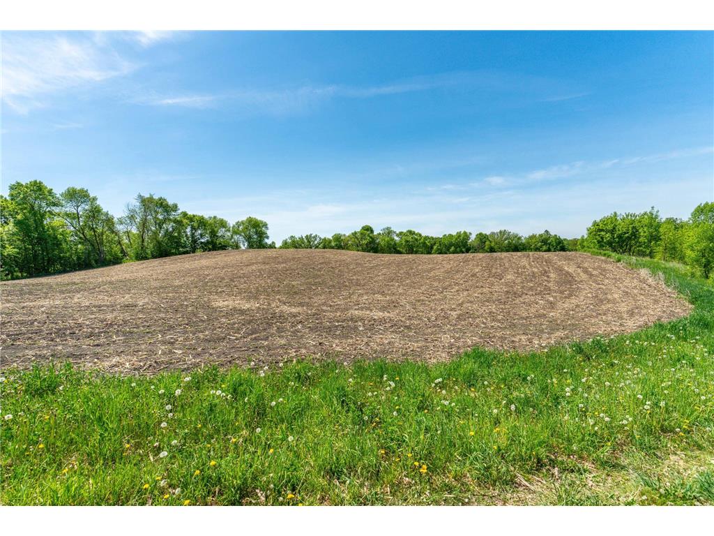 460th Ave Brandon MN 56315 - George Lake 7082429 image9