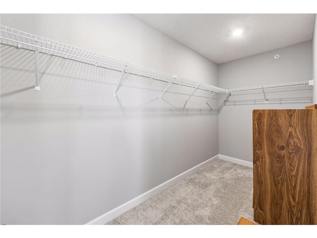 461 Murray Hill Way Waconia MN 55387 7059373 image18