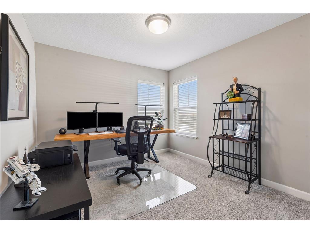 461 Murray Hill Way Waconia MN 55387 7059373 image20